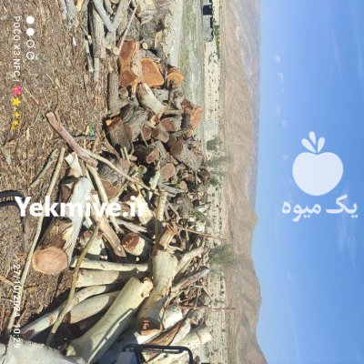 چوب فروش چوب در شیراز در گروه خرید و فروش انواع چوب در یکمیوه -عکس1