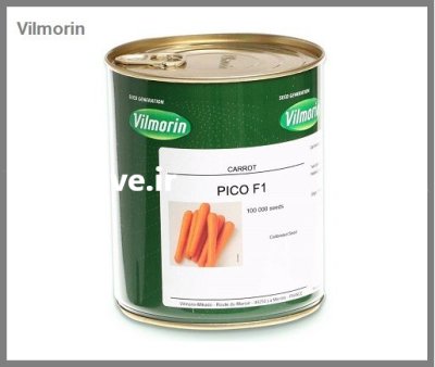 بذر هویج پیکو ویلمورین در بندرعباس در گروه خرید و فروش بذر هویج در یکمیوه -عکس1