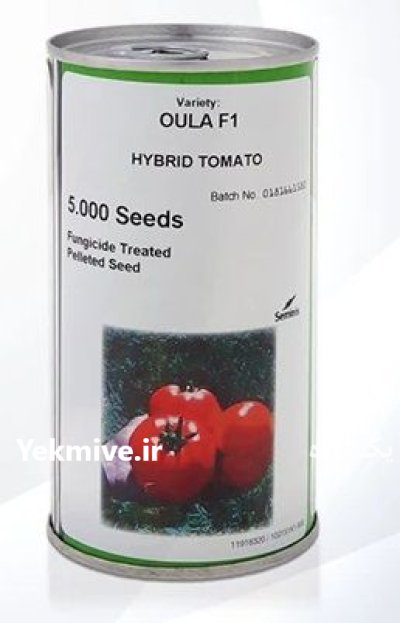 بذر گوجه فرنگی الا در اصفهان در گروه خرید و فروش بذر گوجه در یکمیوه -عکس1