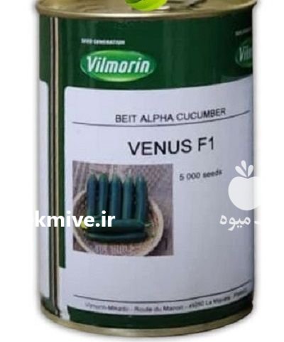 بذر خیار و نوس در بیرجند در گروه خرید و فروش بذر خیار در یکمیوه -عکس1