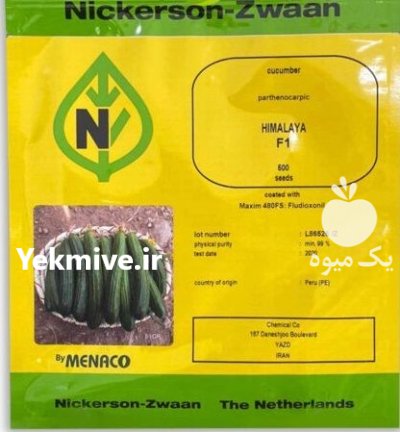 بذر خیار هیمالیا نیکرسون در بروجن در گروه خرید و فروش بذر خیار در یکمیوه -عکس1