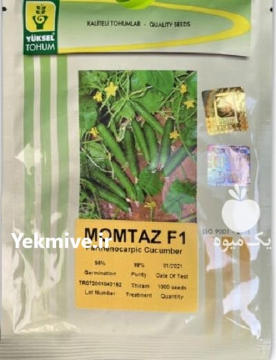 بذر خیار ممتاز نفر در آبعلی در گروه خرید و فروش بذر خیار در یکمیوه -عکس1