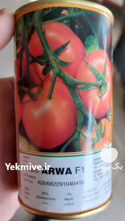 بذر گوجه فرنگی آروا در ساری در گروه خرید و فروش بذر گوجه در یکمیوه -عکس2