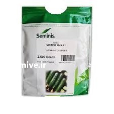 بذر خیار هیبرید ویکتور در ساری در گروه خرید و فروش بذر خیار در یکمیوه -عکس1