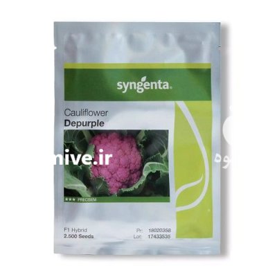 بذر گل کلم بنفش زودرس سینجینتا در ساری در گروه خرید و فروش بذر صیفی جات در یکمیوه -عکس1