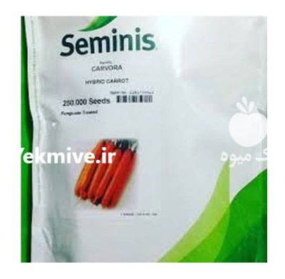 بذر هویج کارورا در بومهن در گروه خرید و فروش بذر هویج در یکمیوه -عکس1