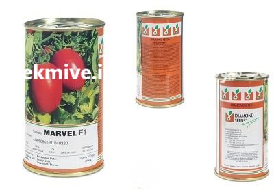 بذر گوجه مارول در گرگان در گروه خرید و فروش بذر گوجه در یکمیوه -عکس1