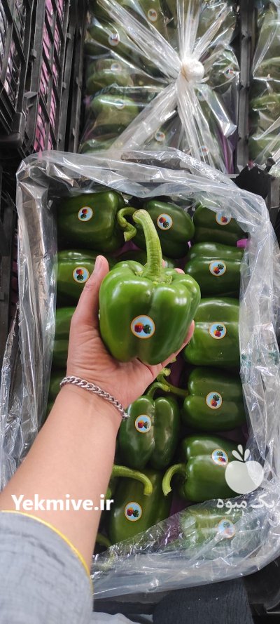 فلفل دلمه سبز گلخانه ای یزد در گروه خرید و فروش فلفل در یکمیوه -عکس1