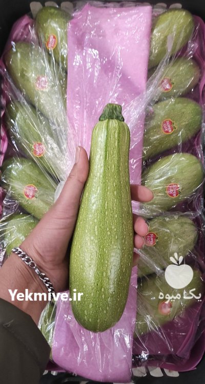 فروش کدو خورشتی یزد در گروه خرید و فروش کدو در یکمیوه -عکس1