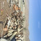 چوب فروش چوب در شیراز در گروه خرید و فروش انواع چوب در یکمیوه