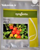 بذر گوجه فرنگی جاوید سینجینتا در بندرعباس در گروه خرید و فروش بذر گوجه در یکمیوه