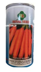 بذر هویج نانتس سوبا در حصارگرمخان در گروه خرید و فروش بذر هویج در یکمیوه