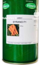 بذر هویج سیرانو در آبپخش در گروه خرید و فروش بذر هویج در یکمیوه