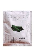 فروش بذر خیار نوبل در کرج در گروه خرید و فروش بذر خیار در یکمیوه