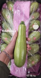 فروش کدو خورشتی یزد در گروه خرید و فروش کدو در یکمیوه