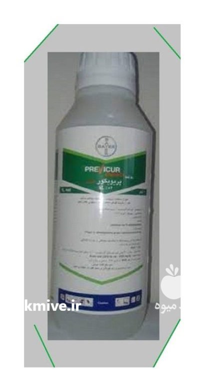 قارچ کش پریویکور در بردخون در گروه خرید و فروش انواع سم در یکمیوه -عکس1
