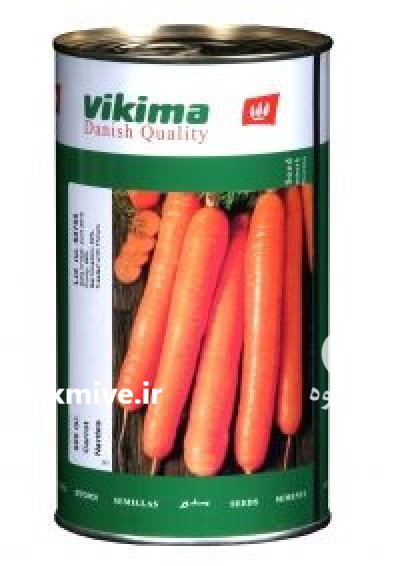 بذر هویج ویکیما در سنندج در گروه خرید و فروش بذر هویج در یکمیوه -عکس1