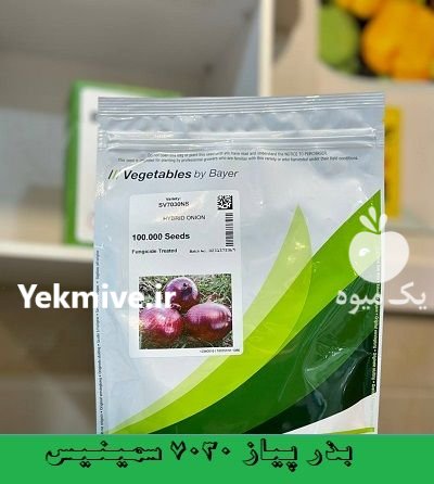 بذر پیاز قرمز 7030 سمینیس در شهرکرد در گروه خرید و فروش بذر پیاز در یکمیوه -عکس1