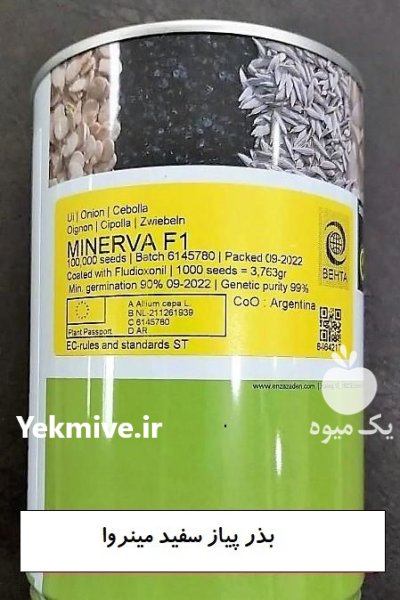 بذر پیاز مینروا f 1 در یزد در گروه خرید و فروش بذر پیاز در یکمیوه -عکس2