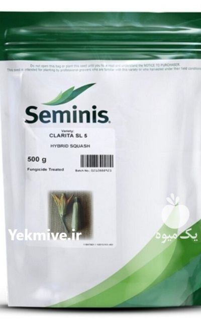 بذر کدو SL 5 سمینیس در ساری در گروه خرید و فروش بذر کدو در یکمیوه -عکس2