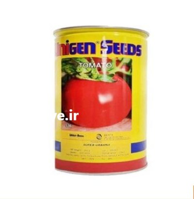 بذر گوجه سوپر اوربانا یونیژن در اصفهان در گروه خرید و فروش بذر گوجه در یکمیوه -عکس1
