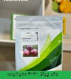 بذر پیاز قرمز 7030 سمینیس در شهرکرد در گروه خرید و فروش بذر پیاز در یکمیوه