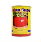 بذر گوجه سوپر اوربانا یونیژن در اصفهان در گروه خرید و فروش بذر گوجه در یکمیوه