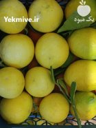 فروش ویژه لیمو ترش سنگی در ساری در گروه خرید و فروش لیمو ترش در یکمیوه