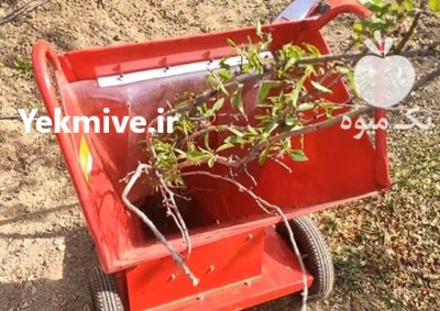 فروش دستگاه چوب خردکن چیپر چوب در کرج در گروه خرید و فروش دستگاه چوب در یکمیوه -عکس2