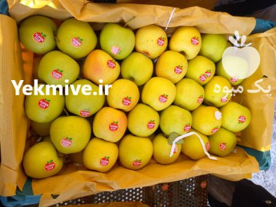 فروش سیب سفید قرمز منطقه جابان در دماوند در گروه خرید و فروش سیب در یکمیوه -عکس1