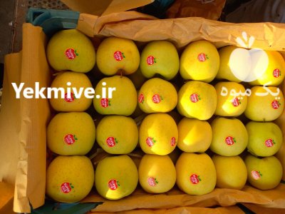 فروش سیب سفید قرمز منطقه جابان در دماوند در گروه خرید و فروش سیب در یکمیوه -عکس2