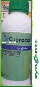 سم قارچ کش کوپراکول در بلداجی در گروه خرید و فروش انواع سم در یکمیوه