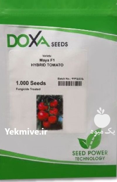 بذر گوجه فرنگی مایا در باروق در گروه خرید و فروش بذر گوجه در یکمیوه -عکس1