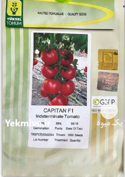 بذر گوجه گلخانه ای کاپیتان در آرین شهر در گروه خرید و فروش بذر گوجه در یکمیوه -عکس1