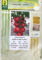 بذر گوجه گلخانه ای کاپیتان در آرین شهر در گروه خرید و فروش بذر گوجه در یکمیوه