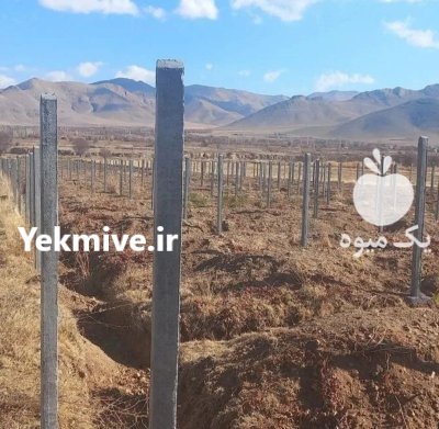 اوکسین بتن تاک تولید پایه فنس در تاکستان در گروه خرید و فروش فنس در یکمیوه -عکس3