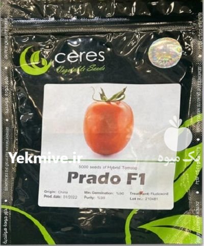 “بذر گوجه پرادو Prado F 1 ” در پیرانشهر در گروه خرید و فروش بذر گوجه در یکمیوه -عکس1