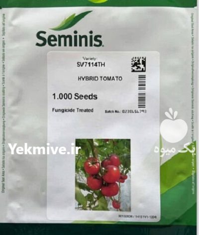 بذر گوجه گلخانه ای 7114 سمینیس در بوکان در گروه خرید و فروش بذر گوجه در یکمیوه -عکس1