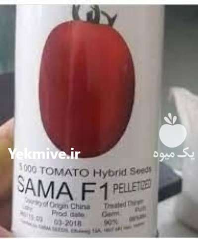 “بذر گوجه سما Sama F 1 ” در بازرگان در گروه خرید و فروش بذر گوجه در یکمیوه -عکس1