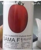 “بذر گوجه سما Sama F 1 ” در بازرگان در گروه خرید و فروش بذر گوجه در یکمیوه
