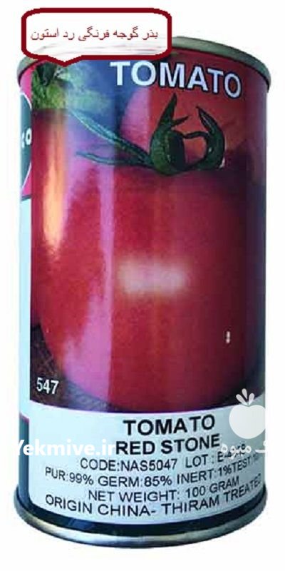 گوجه فضای باز رد استون ناسکو در ایواوغلی در گروه خرید و فروش بذر گوجه در یکمیوه -عکس1