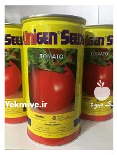توزیع بذر گوجه یونی ژن در باروق در گروه خرید و فروش بذر گوجه در یکمیوه -عکس1