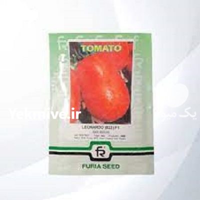 فروش بذر گوجه لئوناردو در بومهن در گروه خرید و فروش بذر گوجه در یکمیوه -عکس1