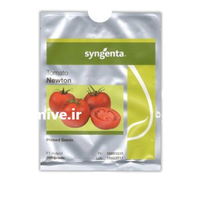 بذر گوجه فرنگی نیوتون در آذرشهر در گروه خرید و فروش بذر گوجه در یکمیوه -عکس1