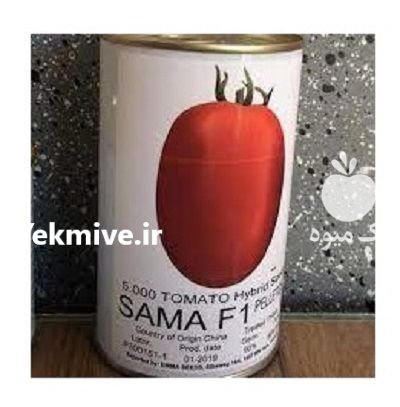 بذر گوجه فرنگی سماء در اهواز در گروه خرید و فروش بذر گوجه در یکمیوه -عکس1