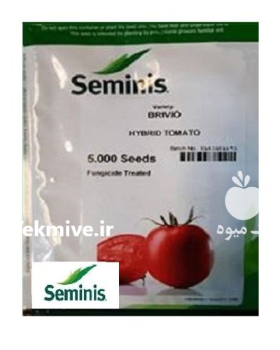 فروش بذر گوجه بریویو سمینیس در سودجان در گروه خرید و فروش بذر گوجه در یکمیوه -عکس1