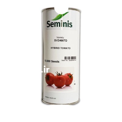 بذر گوجه فرنگی SV 2466 در برازجان در گروه خرید و فروش بذر گوجه در یکمیوه -عکس1