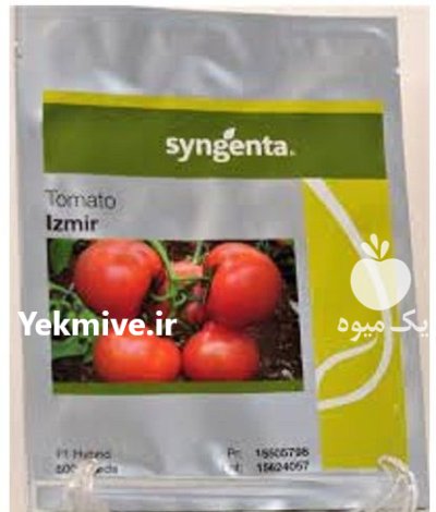 بذر گوجه فرنگی گلخانه ای ازمیر در آبعلی در گروه خرید و فروش بذر گوجه در یکمیوه -عکس1