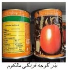 فروش و توزیع بذر گوجه مالکوم در آواجیق در گروه خرید و فروش بذر گوجه در یکمیوه