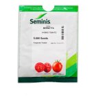 بذر گوجه فرنگی هیبرید برنتا سمینیس در جاجرم در گروه خرید و فروش بذر گوجه در یکمیوه